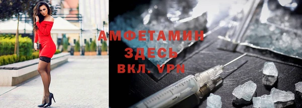 PSILOCYBIN Вяземский