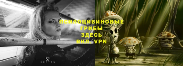 PSILOCYBIN Вяземский