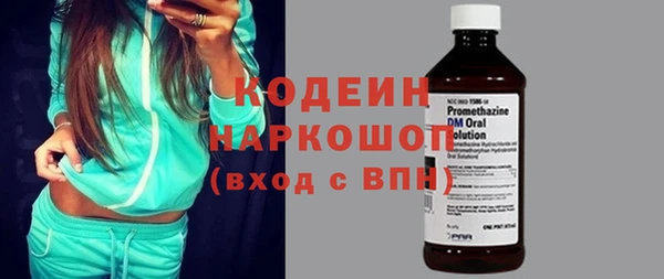 индика Вязьма