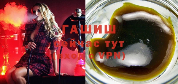 индика Вязьма