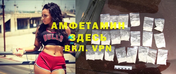 PSILOCYBIN Вяземский
