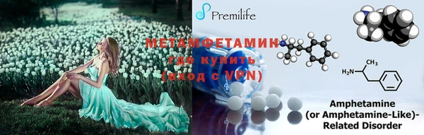 индика Вязьма