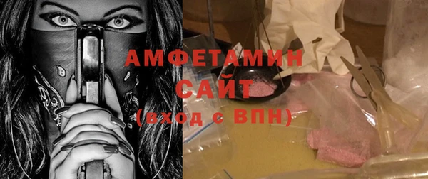 PSILOCYBIN Вяземский
