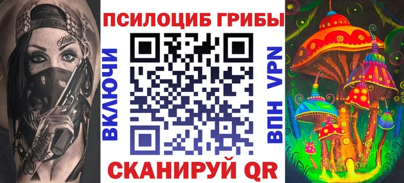 Галлюциногенные грибы Magic Shrooms  где купить наркоту  Данилов 